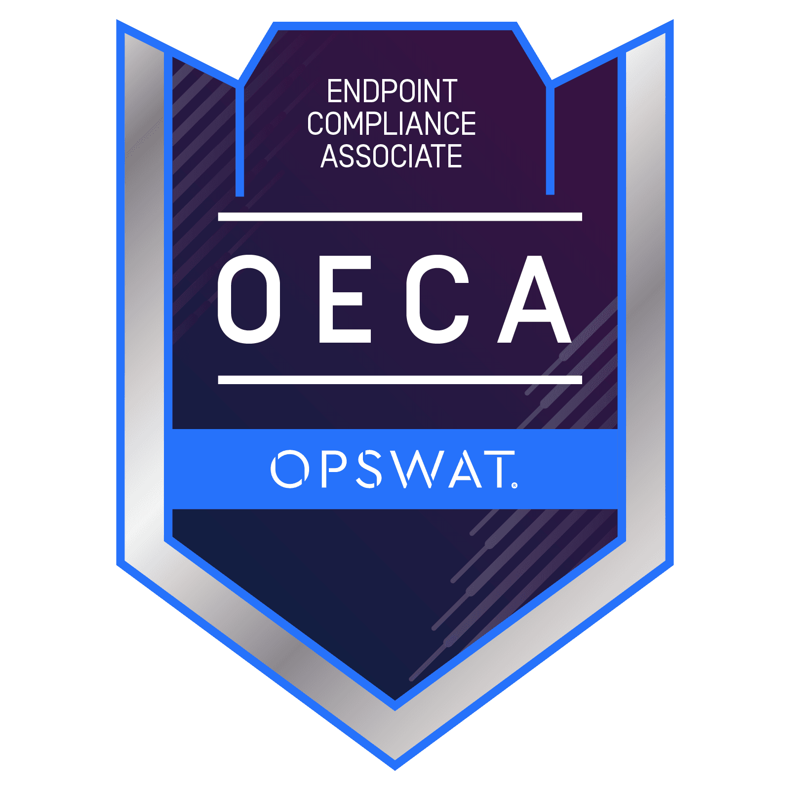 OPSWAT: Critical Infrastructure Protection - SecurityWall team certification badge